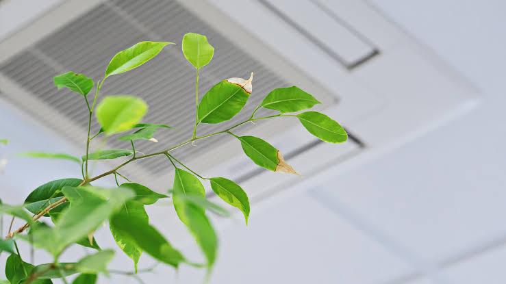 Indoor Air Quality (3) 07302026